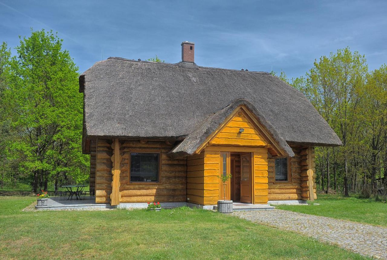 Villa Dom Pod Sosnami Gryżyna Esterno foto
