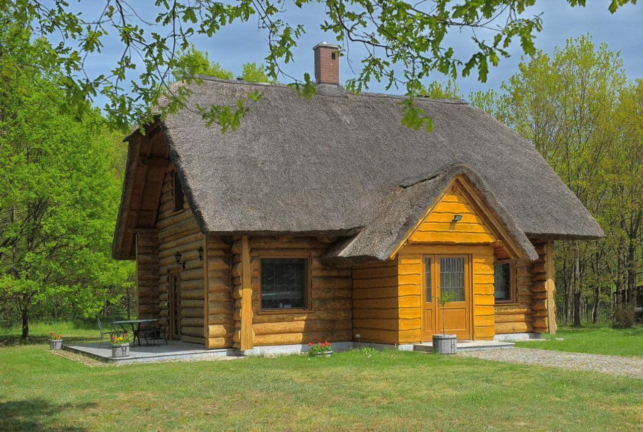 Villa Dom Pod Sosnami Gryżyna Esterno foto