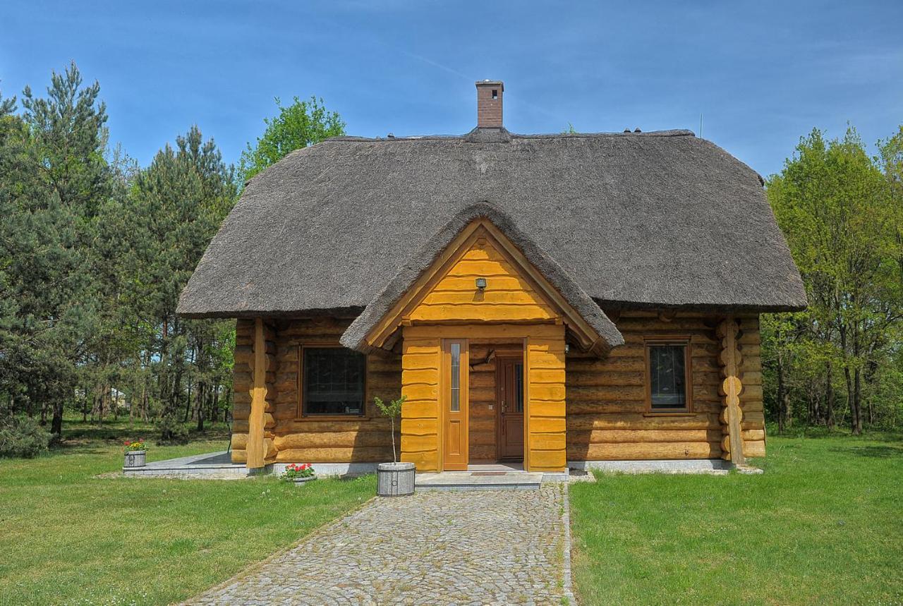 Villa Dom Pod Sosnami Gryżyna Esterno foto