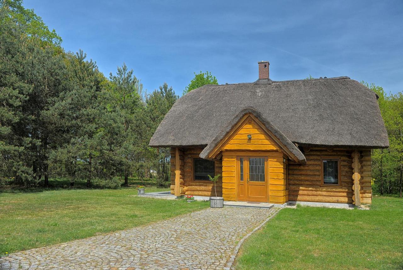 Villa Dom Pod Sosnami Gryżyna Esterno foto