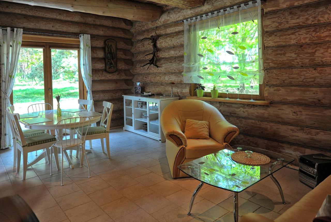 Villa Dom Pod Sosnami Gryżyna Esterno foto